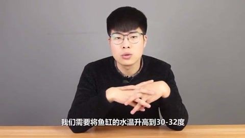 如何預防龍魚蒙眼病的發生？【-亮哥養魚頻道亮哥養魚頻道05:0331】