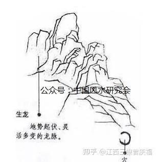 有哪些著名的生龍風水案例？【梅州平遠縣田心村的“蛤蟆落井”生龍風水案例】