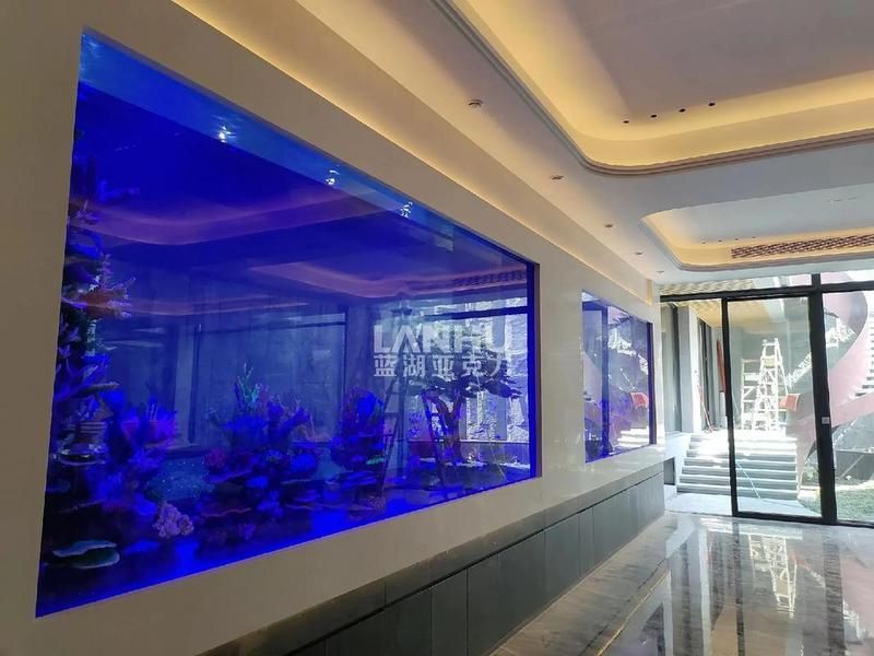 蚌埠魚缸定做【蚌埠地區的魚缸定做服務，藍湖亞克力魚缸定制注意事項】