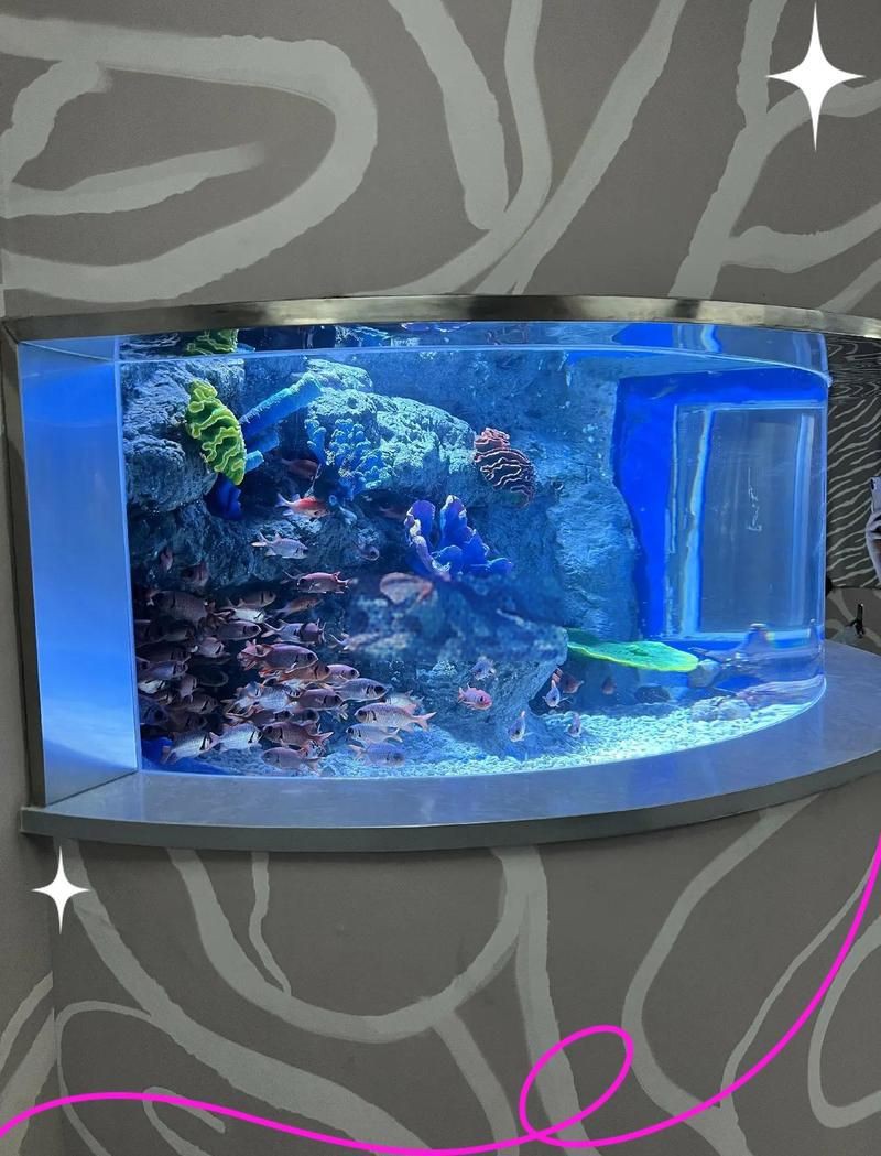 蚌埠魚缸定做【蚌埠地區的魚缸定做服務，藍湖亞克力魚缸定制注意事項】