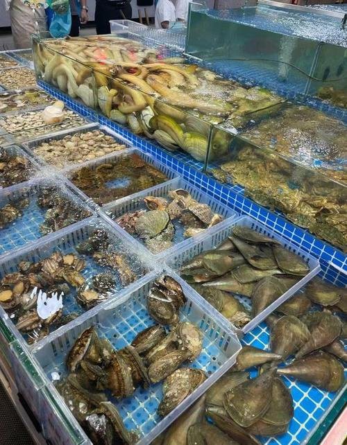 云南水族店【云南地區的水族店分布廣泛且各具特色，涵蓋多個城市與區域】