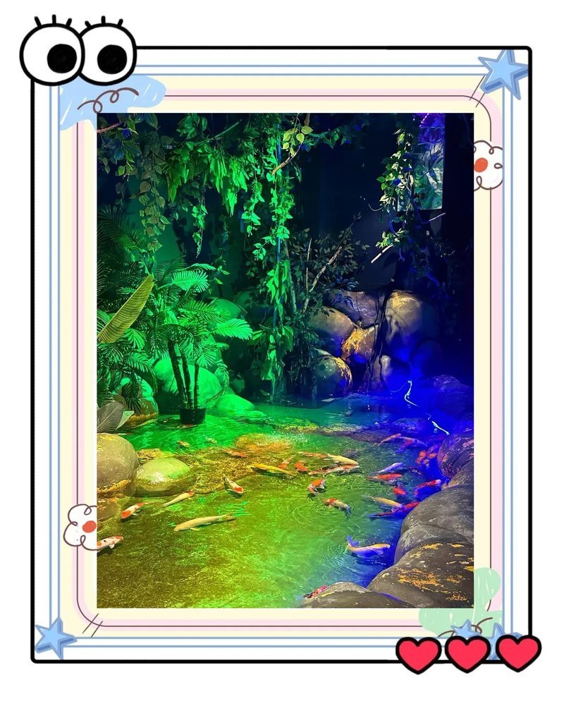 九龍坡水族店【九龍坡區水族店分布廣泛且各具特色】