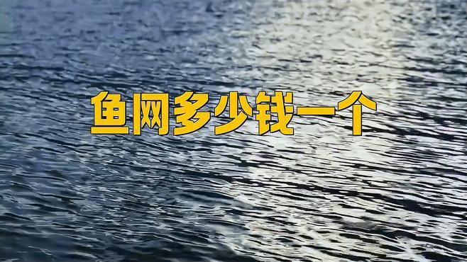 撈魚網多少錢一個【撈魚網多少錢一個-蘇寧易購】