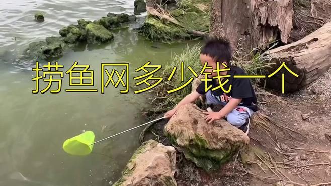 撈魚網多少錢一個【撈魚網多少錢一個-蘇寧易購】