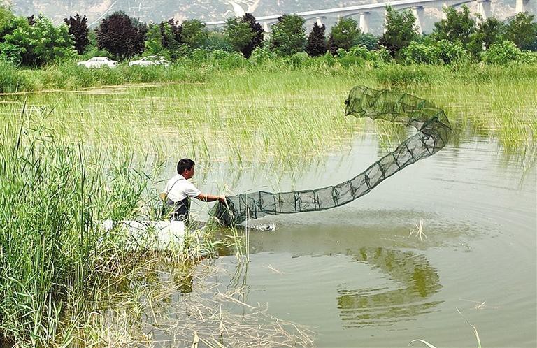 彬縣龍魚店【彬縣龍魚店有哪些龍魚品種】 彬縣龍魚店【彬縣龍魚店有哪些龍魚品種】 全國水族館企業名錄 第6張