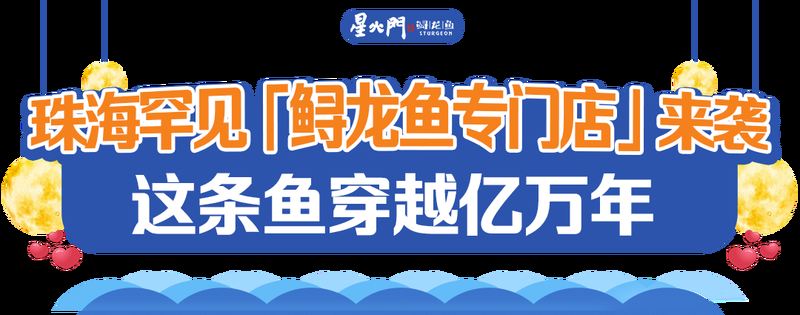昭平龍魚店【廣西賀州昭平縣昭平鎮城記龍魚館】