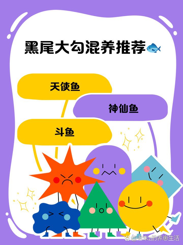 什么魚能和大勾魚混養【黑尾大勾混養指南，打造和諧水族箱的黃金法則】