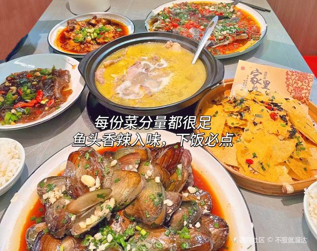 昌江區(qū)龍魚店【昌江區(qū)龍魚店哪家最好】