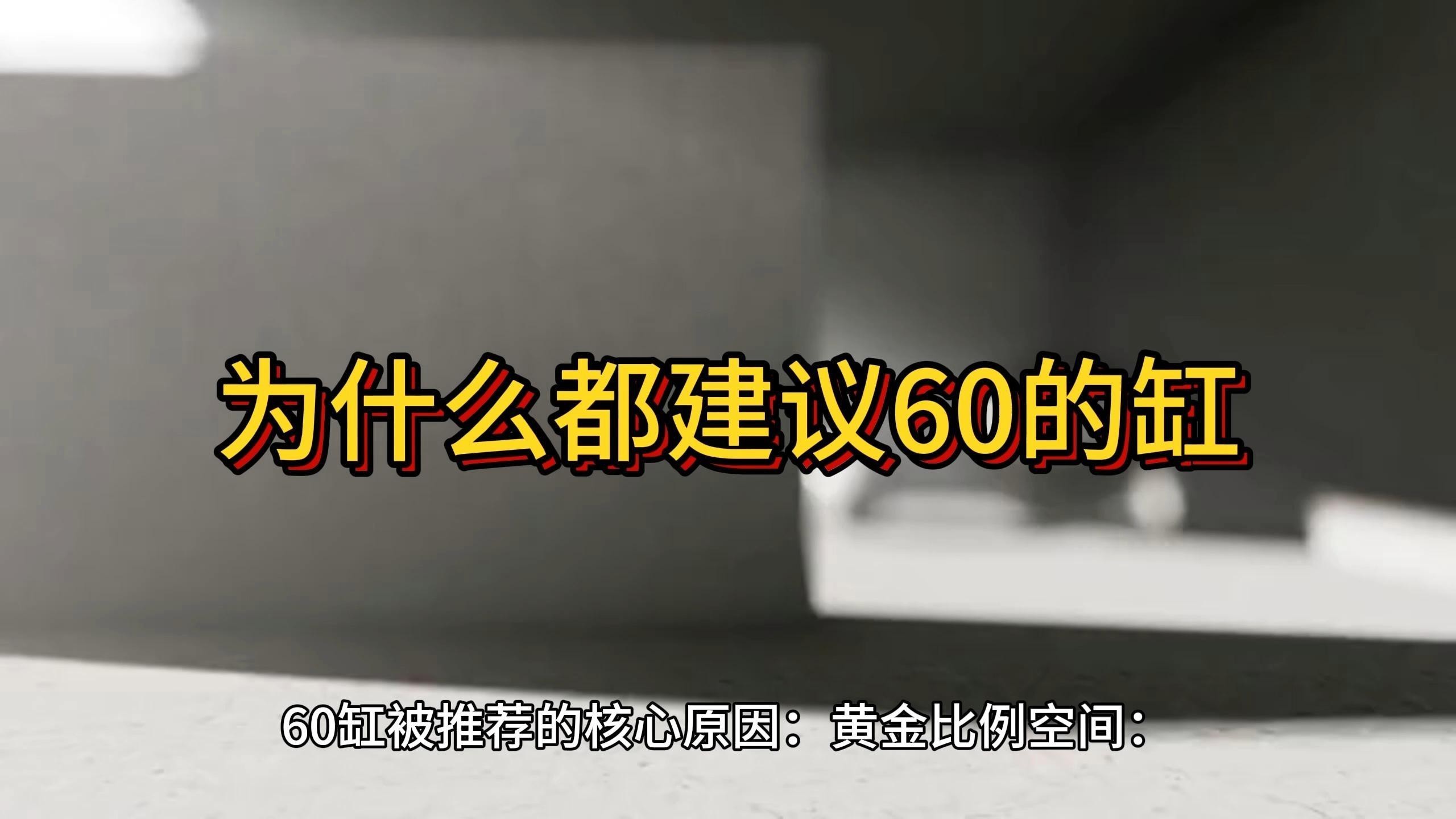 為什么都建議60的缸【60厘米的魚缸為什么都建議60的缸林之承為什么都建議60的缸】