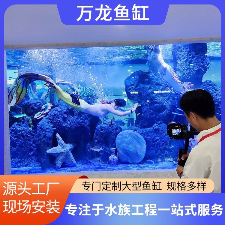 株洲魚缸批發(fā)市場【株洲魚缸批發(fā)市場在哪里】