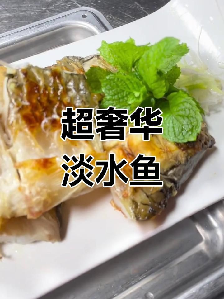 馬來西亞最貴淡水魚【馬來西亞十大最貴淡水魚排行榜西街小霸王赤域一條能賣上萬元】