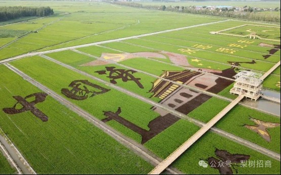 梨樹縣龍魚店【梨樹縣龍魚店——梨樹洲鱘龍魚】