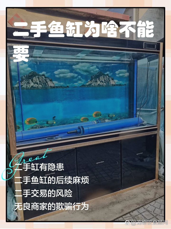 二手觀賞魚交易平臺【《二手觀賞魚交易平臺》】