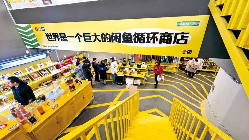 二手觀賞魚交易平臺【《二手觀賞魚交易平臺》】