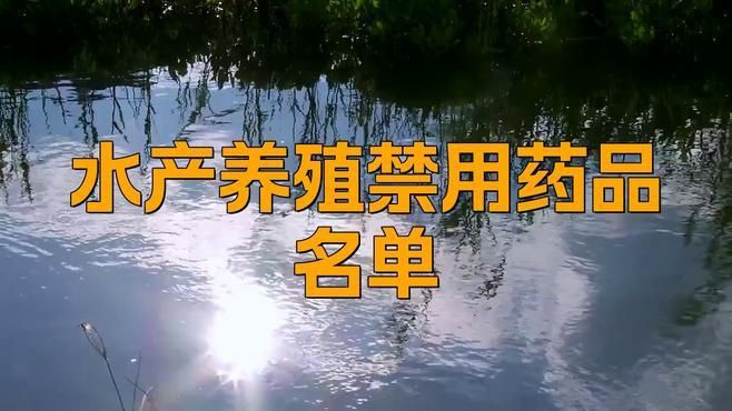 有哪些藥物是龍魚禁用的？【畜牧水產(chǎn)養(yǎng)殖業(yè)禁用藥物清單一覽表2024貍伴星遙】