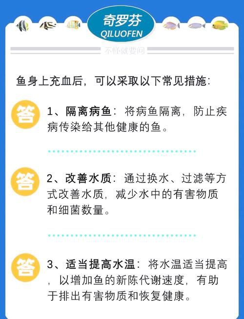 魚充血的圖片【關于觀賞魚充血的圖片】