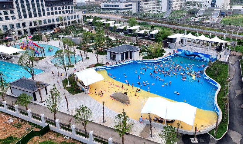 汝陽水族店【汝陽水族店哪家口碑最好】