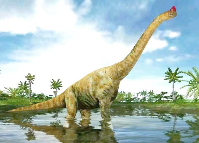 恐龍圖片大全【《恐龍圖片大全》】