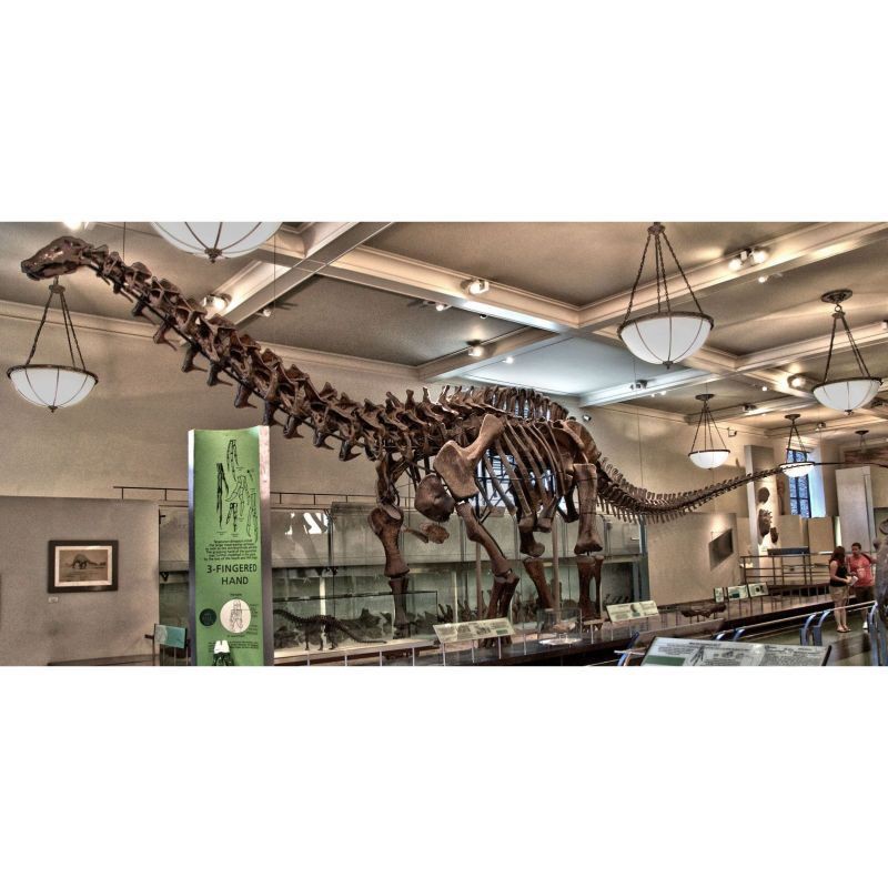 恐龍圖片大全【《恐龍圖片大全》】