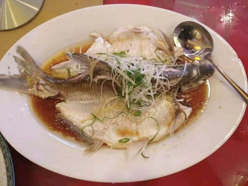 廣東常見淡水魚【為什么廣東人喜歡吃淡水魚？】