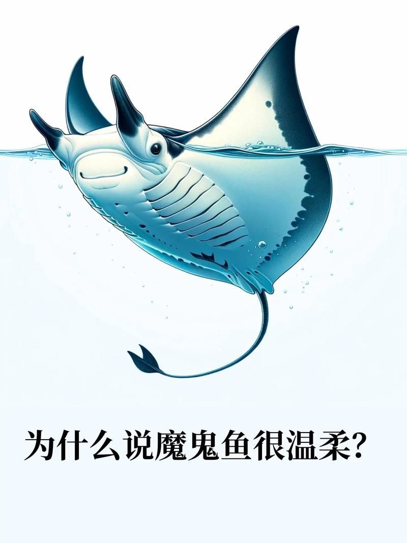 魔鬼魚的身體結構圖【揭秘海洋中究竟誰才是“魔鬼魚”】