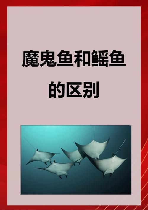 魔鬼魚的身體結構圖【揭秘海洋中究竟誰才是“魔鬼魚”】