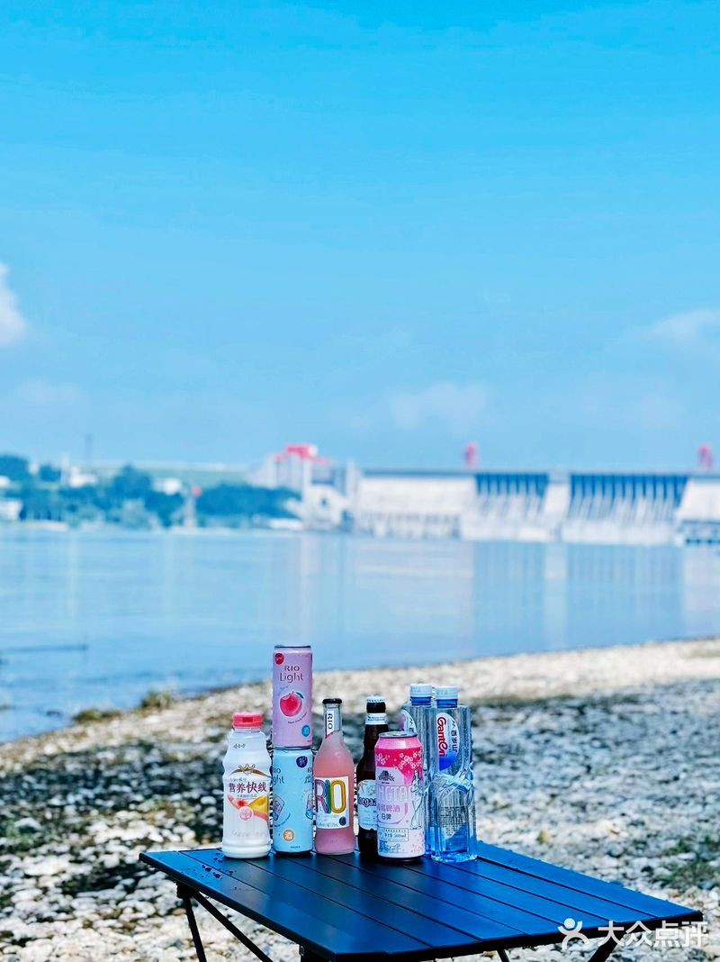 當陽龍魚店【宜昌當陽龍魚店開業2個月天天排隊爆滿竟藏著大秘密…】