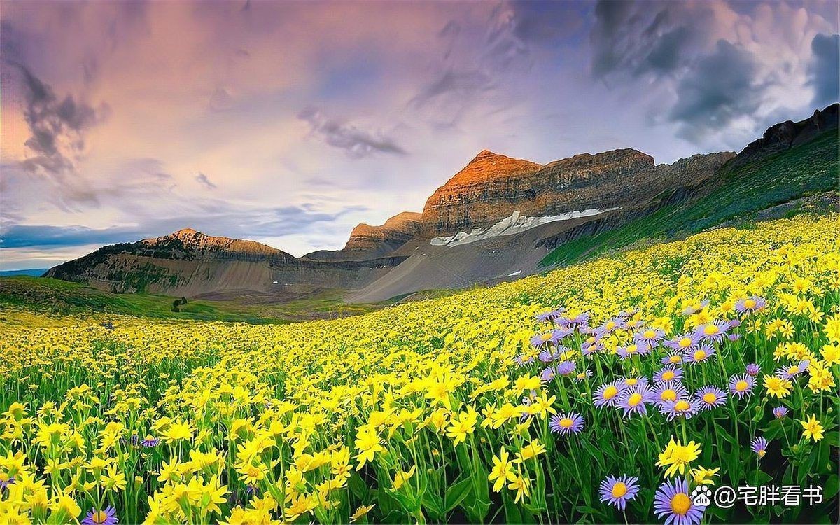 《都市我有魚場空間》的主要角色有哪些？【15本已完結鄉土種田類農場流都市小說,悟隱士之情宅胖看書】