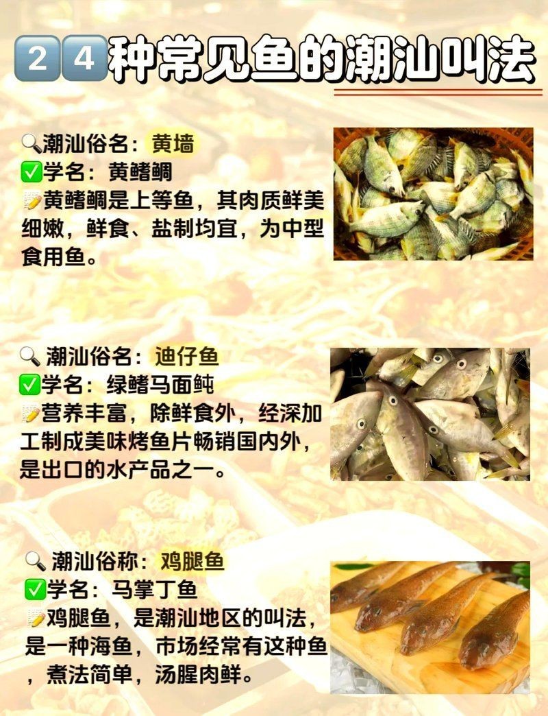 廣東人常吃的20種魚【廣東常見魚類及其烹飪方式，潮汕海魚大揭秘，你知多少】
