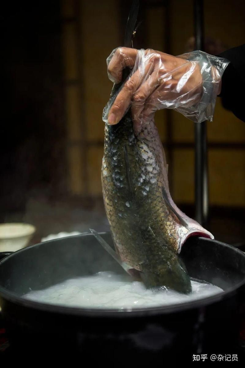 廣東人常吃的20種魚【廣東常見魚類及其烹飪方式，潮汕海魚大揭秘，你知多少】
