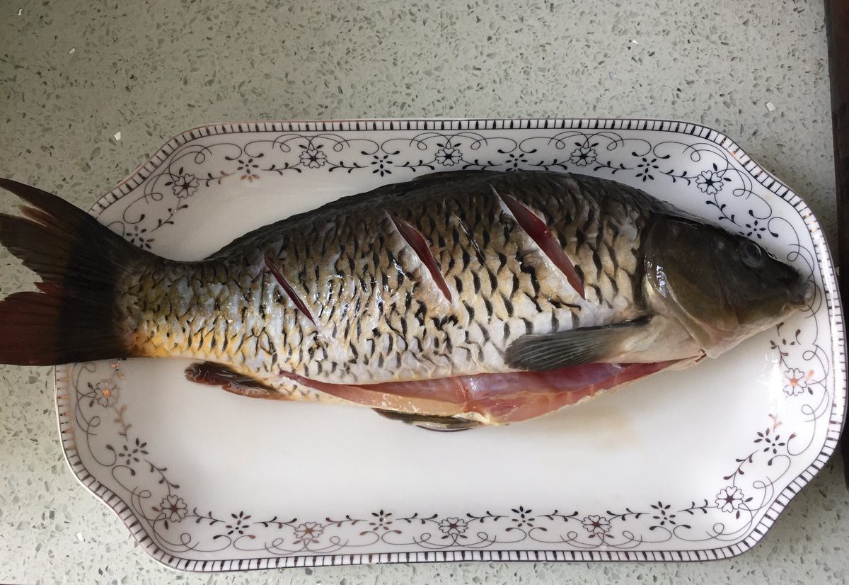 七紋鯉魚最忌三種水果【七紋鯉魚最忌諱的三種水果及其危害機制及其危害機制】