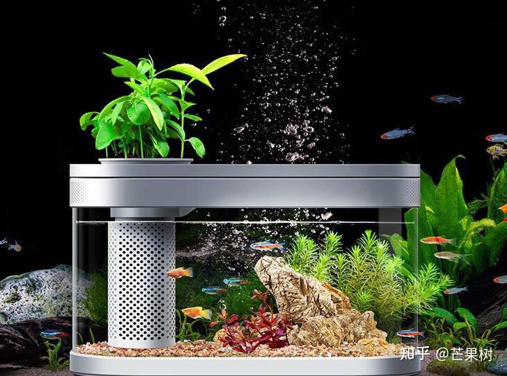 什么品牌魚缸質量最好【魚缸十大品牌排名】