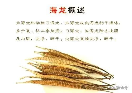 海中龍魚與海龍的區(qū)別【\