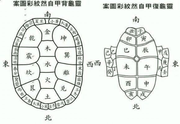 家里養白化龜好嗎吉利嗎【家養哪種龜最適合家里養白化龜招財鎮宅這幾種龜最適合家養】