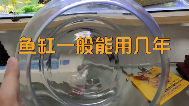 閩江魚缸壽命一般幾年【閩江魚缸壽命一般幾年創新邊界】