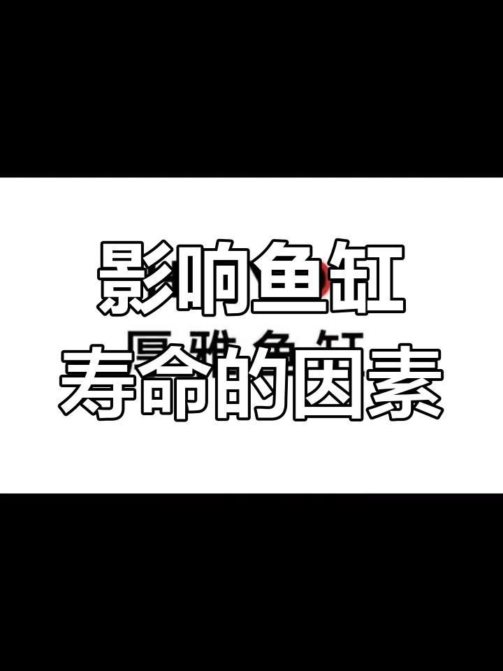 閩江魚缸壽命一般幾年【閩江魚缸壽命一般幾年創新邊界】