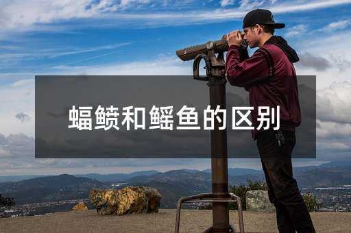 世界上最大的鰩魚【世界上最大的鰩魚\