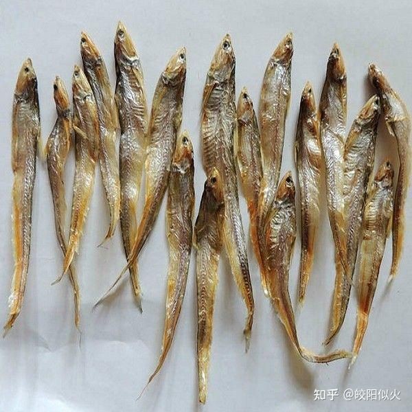 毛魚是什么魚【巢湖毛魚富含什么營養價值及功效王春華江蘇毛魚是什么魚】