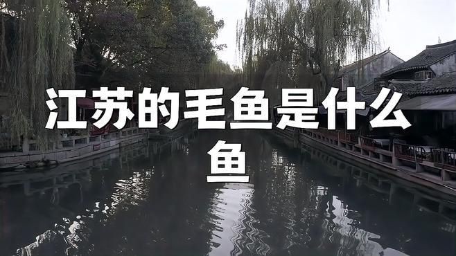毛魚是什么魚【巢湖毛魚富含什么營養價值及功效王春華江蘇毛魚是什么魚】