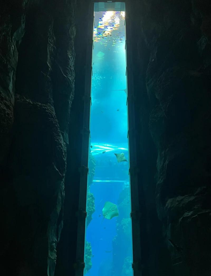 世界上最大的海洋館【世界上規(guī)模最大的海洋館】