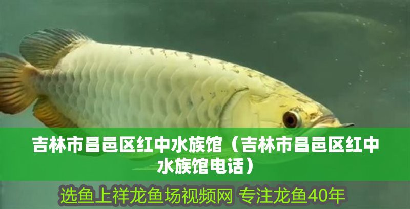 昌邑水族店【昌邑市保仕利得水族用品店有哪些特色產品保仕利得水族用品店】