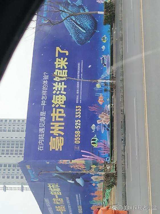 亳州水族店【九月碼頭水族空間在亳州市首屆《最具口碑水族店》評選活動中榮獲冠軍】