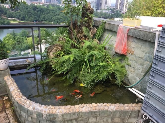 樓頂露臺魚池效果圖【《樓頂露臺魚池效果圖》】