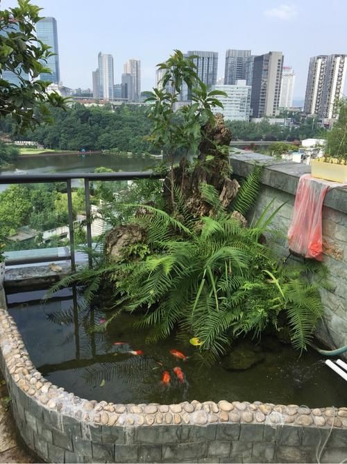 樓頂露臺魚池效果圖【《樓頂露臺魚池效果圖》】