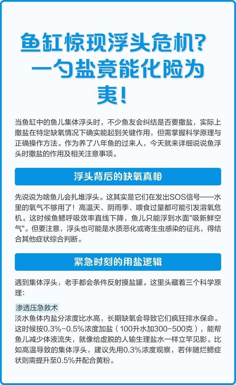 魚缸加鹽魚都上浮了【壓魚缸加鹽魚都上浮了】 龍魚百科 第7張 魚缸加鹽魚都上浮了【壓魚缸加鹽魚都上浮了】 魚缸加鹽魚都上浮了【壓魚缸加鹽魚都上浮了】 龍魚百科 第7張