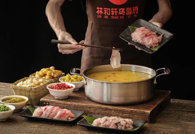 宜賓縣龍魚店【四川省人民政府龍魚店】