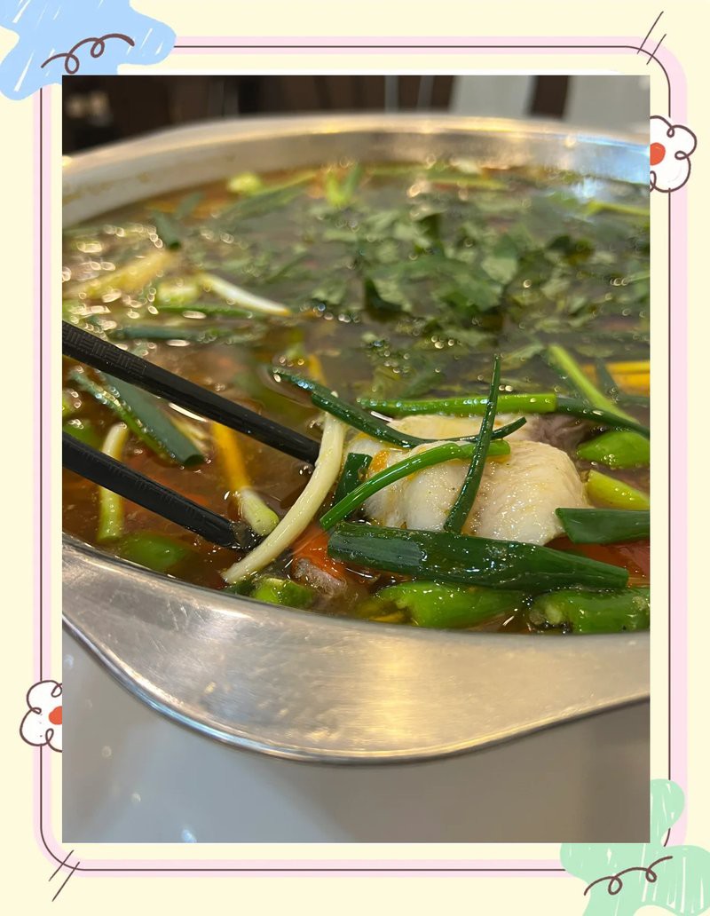 宜賓縣龍魚店【四川省人民政府龍魚店】