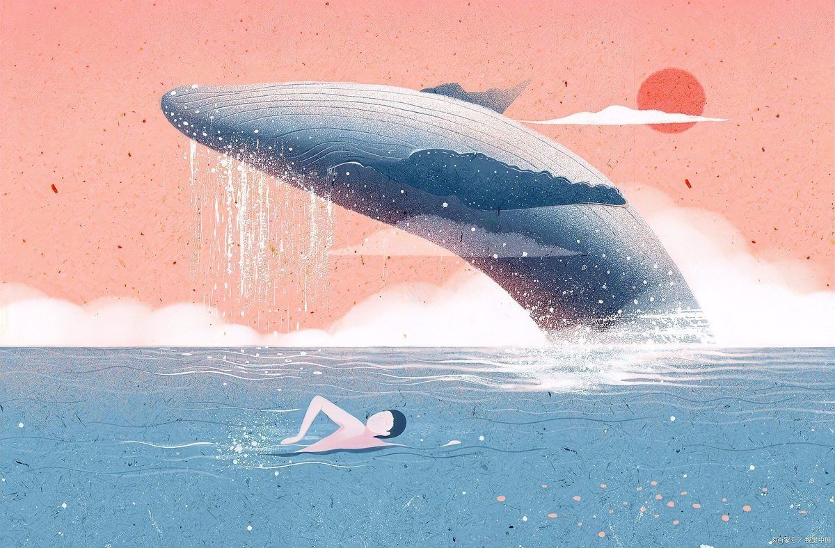 鯨魚的寓意和象征【鯨魚作為海洋中的獵鯨傳統(tǒng)與全球護鯨運動持續(xù)發(fā)展理念】