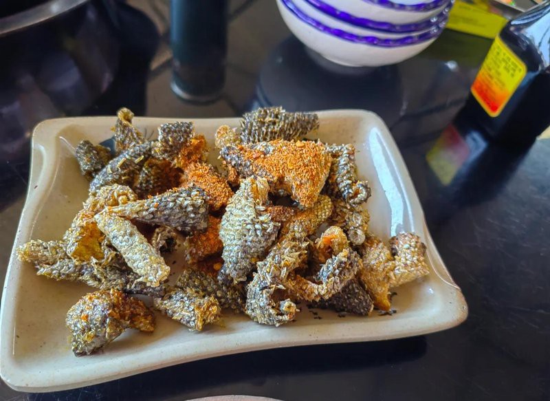 富縣龍魚(yú)店【富縣有沒(méi)有龍魚(yú)店】