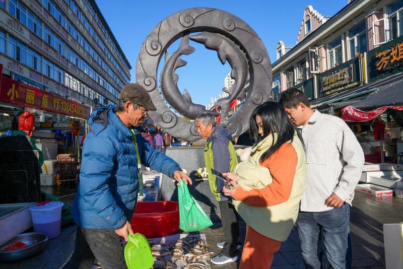 富縣龍魚(yú)店【富縣有沒(méi)有龍魚(yú)店】